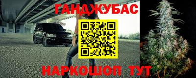 прущие грибы Коммунар