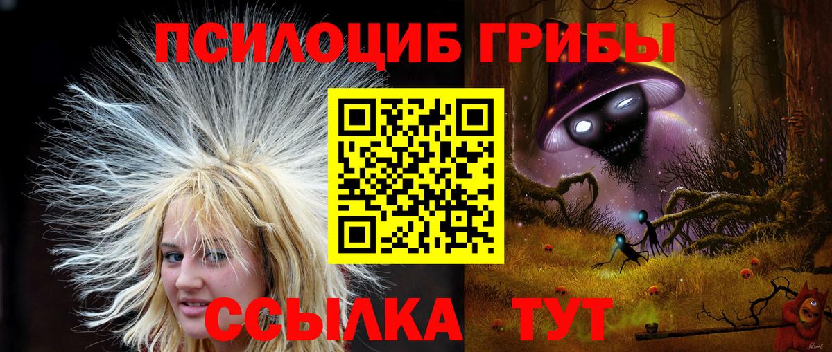 Псилоцибиновые грибы Cubensis  Вход с VPN  Янаул 